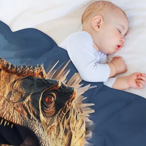 Manta de forro polar de dinosaurio para salón y manta para sofá juvenil 4