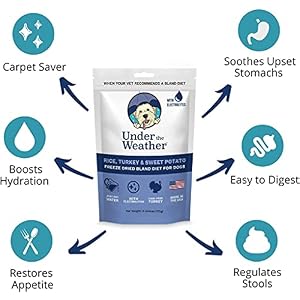 Beneath the Climate Simple to Digest Bland Food regimen for Sick Canines - All the time Be Prepared - Accommodates Electrolytes - Gluten Free, All Pure, Freeze Dried 100% Human Grade Meats - Turkey, Rice & Candy Potato Beneath the Climate Simple to Digest Bland Food regimen for Sick Canines – All the time Be Prepared – Accommodates Electrolytes – Gluten Free, All Pure, Freeze Dried 100% Human Grade Meats – Turkey, Rice & Candy Potato