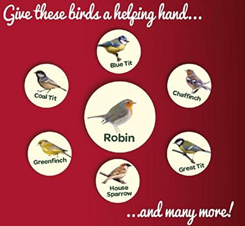 Peckish Robin Bird Seed and Insect Mix, 1 kg