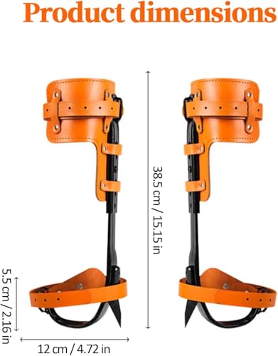 Crampons d'escalade d'arbre pour cueillette et élagage sécurisé