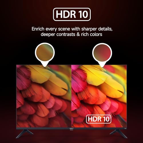 Xiaomi 108 cm (43 inch) FX Ultra HD 4K Smart LED Fire TV L43MB-FIN 8 41dSTNSLvUL