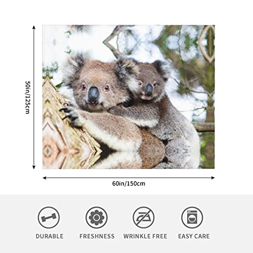 Couverture koala bear en flanelle douce, idée cadeau originale