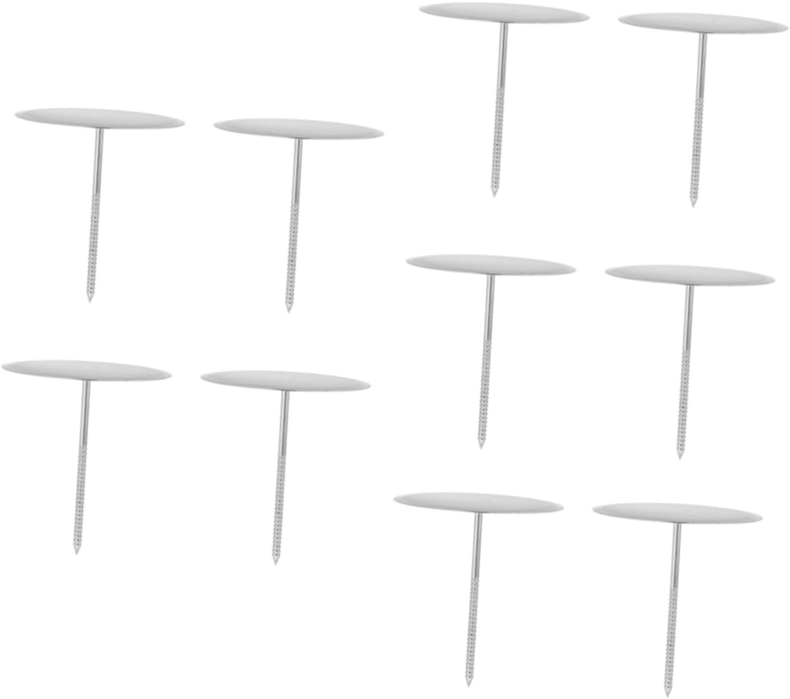 Garneck 20pcs Stainless Steel Cake Flower Nails for Decorating Desserts Baking Tools for Cakes Muffins and Pastry Supplies