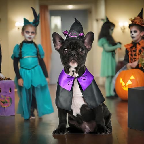 Disfraz Halloween para Perros Medianos y Grandes 4 Piezas miniatura 7