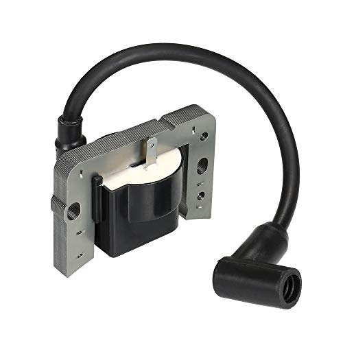 mewmewcat Módulo de bobina de ignição para Tecumsceh 34443 34443A 34443B 34443C 34443D