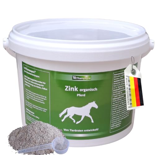 Wann hat ein pferd fieber