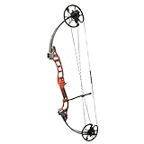 Cajun Sucker Punch Bowfishing Bow Only