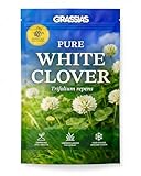 Grassias White Clover Lawn Seed – Small Leaf Micro Clover Ground Cover – Bee Friendly, Drought Resistant, Low Maintenance – Nitrogen Fixing Green Manure for Greener Gardens (500g)