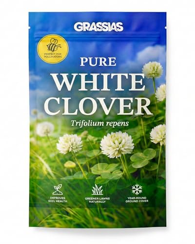 Grassias White Clover Lawn Seed Small Leaf Micro Clover Ground Cover Bee Friendly Drought Resistant Low Maintenance Nitrogen Fixing Green Manure for Greener Gardens (250g)