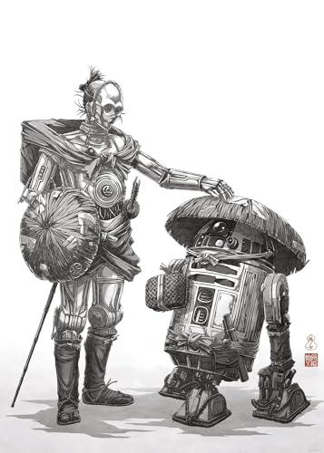 Komar Wandbild- Star Wars Vision Samurai Droids - Größe 50 x 70 cm - Poster, Kinderzimmer, Dekoration - gerollt ohne Rahmen, Schwarz-Weiß