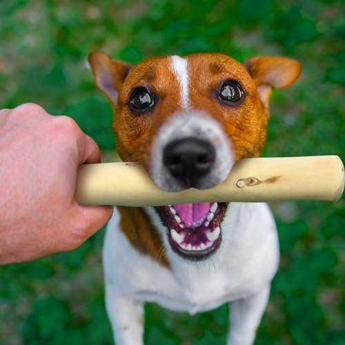 Hiboom 4 Pcs Dog Chew Sticks Coffee Wood Chew Toy for Dogs Safe Natural Healthy Wood Bones for Puppy Regular and Aggressive Muscle Training and Teeth Cleaning - Thumbnail 7