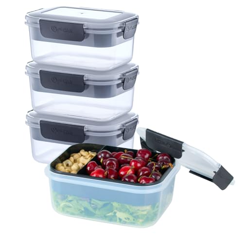 Alpha Designs | Lunch Box Food Containers 3 Pack...