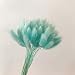 50PCS Home Decoration Lagurus Ovatus Rabbit Tail Dried Flowers, Real Flower, Eternal Flower Dried Grass,Flower Bouquet, Photo Props Home Party and Wedding Decor (Blue)