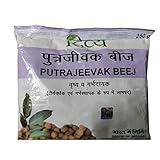 Patanjali Divya Putrajeevak Beej 50g, Ayurvedic Herb for Reproductive Health and Hormonal Balance