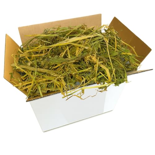Hierba médica (alfalfa) 10 kg | Heno natural de alfalfa | Rico en fibra, proteínas y calcio | Ideal para conejos, cobayas, pequeños roedores y caballos | Crecimiento, gestación, apetecibilidad