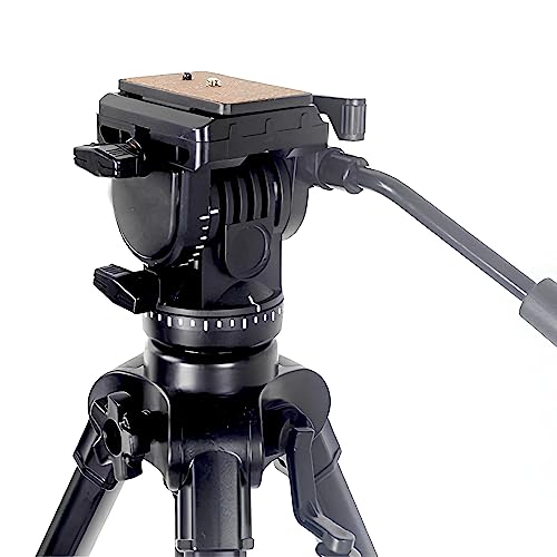 Image of HIFFIN Aluminum Tripod, Universal Lightweight Tripod with Carry Bag for All Smart Phones, Gopro, Cameras (Black) (880 Quick Release Plate)