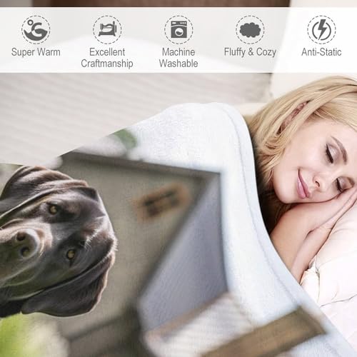 Couverture de balcon et camping plaid flannel chien doux 130x180cm pour maison