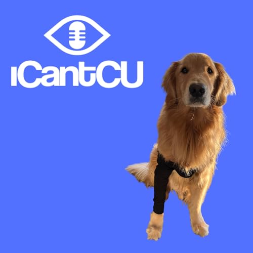 Rokid Style Delays and Choosing Ziggy Over Vegas