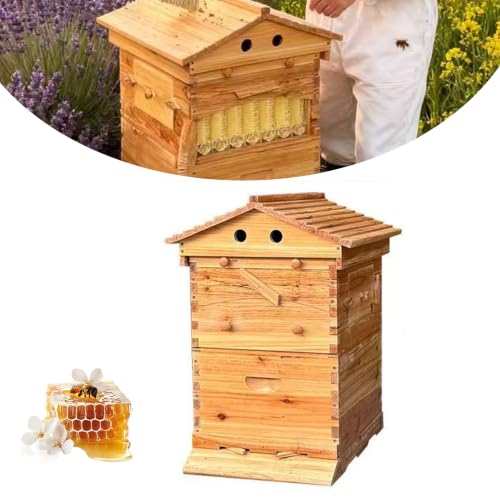 Bienenstock Starterset Selbstfließend Bienenkasten mit Sichtfenstermit