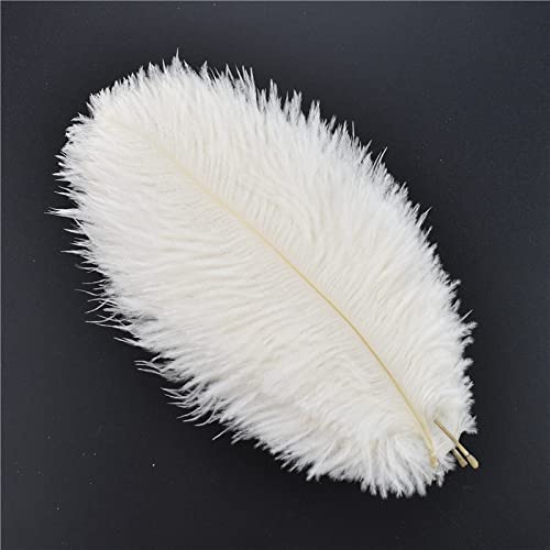 VIRUL 20Pcs Piume di Fagiano Bianco per