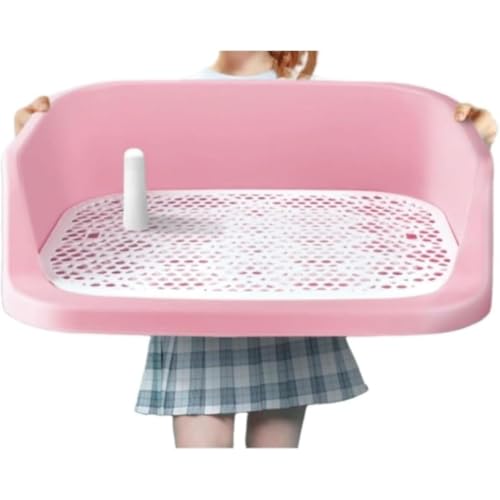 pgCg[ ybggC ǃv[gt gC Ch g[jO pgC{bNX gCg[jO pbhz_[ REENEW O\ ~ |ȒP ȒP R  O (A) (F)