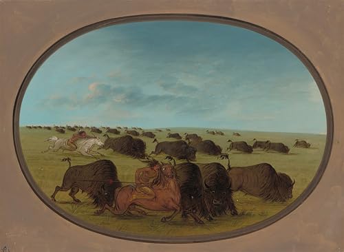 Lienzo Animale con incidenti George Catlin Póster Artístico de Alta Definición 60x90cm