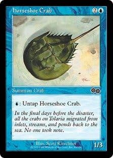 Amazon 英語版 ウルザズ サーガ Urza S Saga Usg カブトガニ Horseshoe Crab マジック ザ ギャザリング Mtg トレカ 通販 Amazon 英語版 ウルザズ サーガ Urza S Saga Usg カブトガニ Horseshoe Crab マジック ザ ギャザリング Mtg トレカ 通販