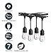 Sterno Home 48-Ft Vintage-Style Waterproof Outdoor LED String Lights – Hanging Edison Bulbs on Black Rubberized Cord – For Backyard, Weddings, Patio, Porch, and more.