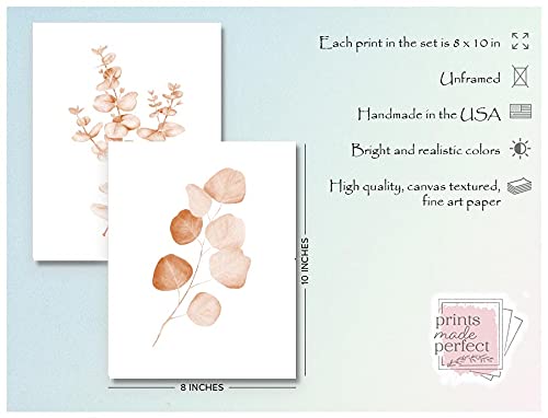 Botanical Prints Wall Art - Watercolor Eucalyptus Leaf Prints (Set Of 4) - 8X10 - Unframed #TOP1