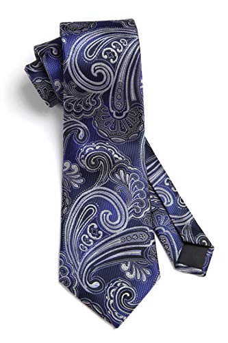 Image of HISDERN Ties for Men Paisley Tie and Pocket Square Woven Classic Floral Mens Ties Handkerchief Set Wedding Party Necktie