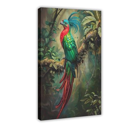 Quetzal impression sur toile 50,8x76,2 cm pour décoration de bureau et chambre