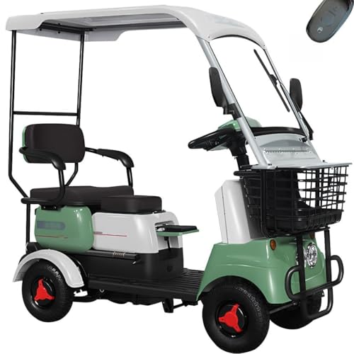 60V 800W Electric Golf Cart