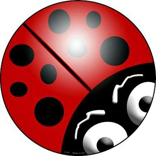 Red Ladybug Beetle Round Metal Sign Fun Kids Kids Room Wall Decor Funny Tin Sign Entrance Decor Gallery Wall Sign 12x12 Inch