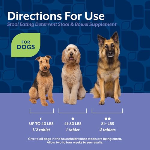 Image of NaturVet - Coprophagia Stool Eating Deterrent Plus Breath Aid | Deters Dogs from Consuming Stool | Enhanced with Breath Freshener, Enzymes & Probiotics | 60 Chewable Tablets (Pack of 2)