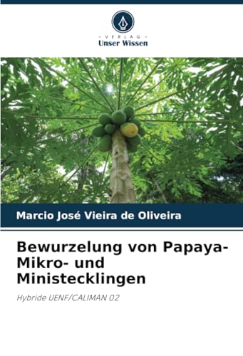Bewurzelung von Papaya-Mikro- und Ministecklingen: Hybride UENF/CALIMAN 02