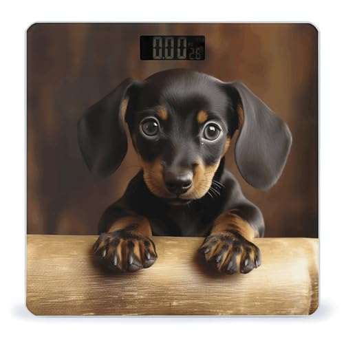Báscula Digital de Peso Corporal Perro Salchicha Compacta