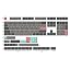 Dolch