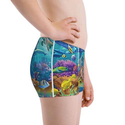 Boys' Cotton Boxer Brief Soft Underwear-Sea World2