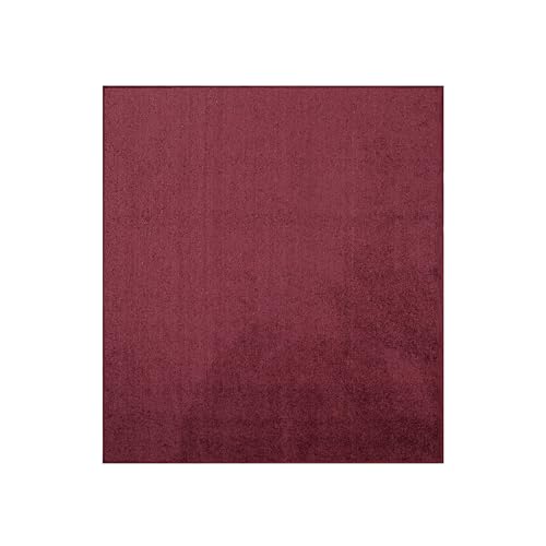 Ambiant Pet Friendly Solid Color Area Rugs Cranberry - 9' Square, Indoor, Stain Resistant, Perfect for Living Room, Bedroom, Dining Room, Entryway, Pet & Kids Friendly Rug, Wedding, Made in USA