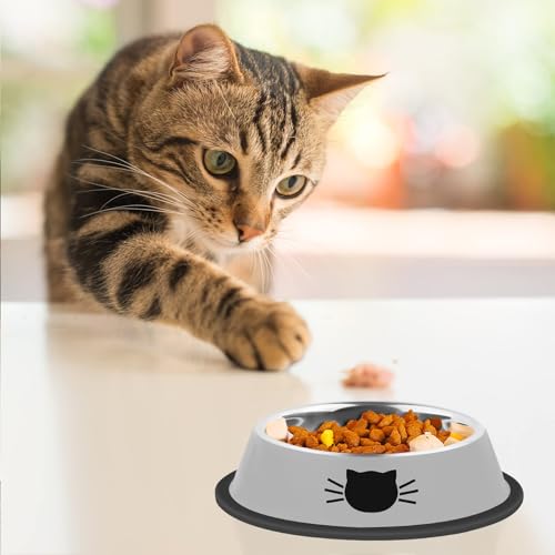 2 Pcs Non-Slip Stainless Steel Small Cat Food Bowls