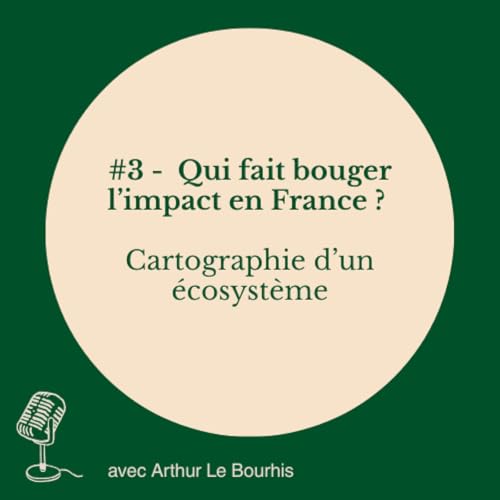#3 - Qui fait bouger l&rsquo;impact en France ? Cartographie d&rsquo;un &eacute;cosyst&egrave;me