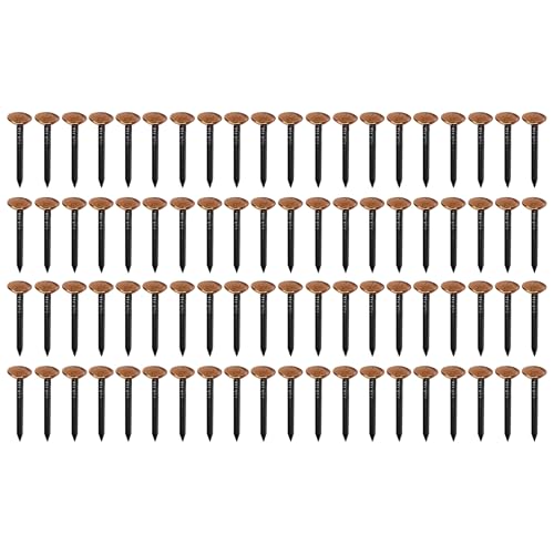 cyclingcolors 100x chiodi chiodini in acciaio con testa larga in rame fissaggio fotografie quadri ai muri decorativo, 2x20mm