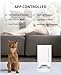 PETKIT Fresh Element Solo Automatic Pet Feeder Setting Up