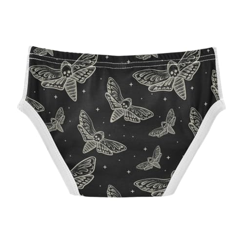 Boys' Exclusive Briefs Toddler Underwear 95% Combed Cotton Boxerbriefs 2T Moth Pattern 292