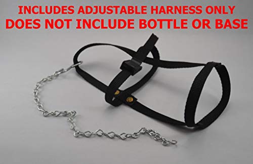 Your Happy Chicks 1 Qt. Hanging Harness (Adjustable, Glass Or Plastic Jars) #TOP1