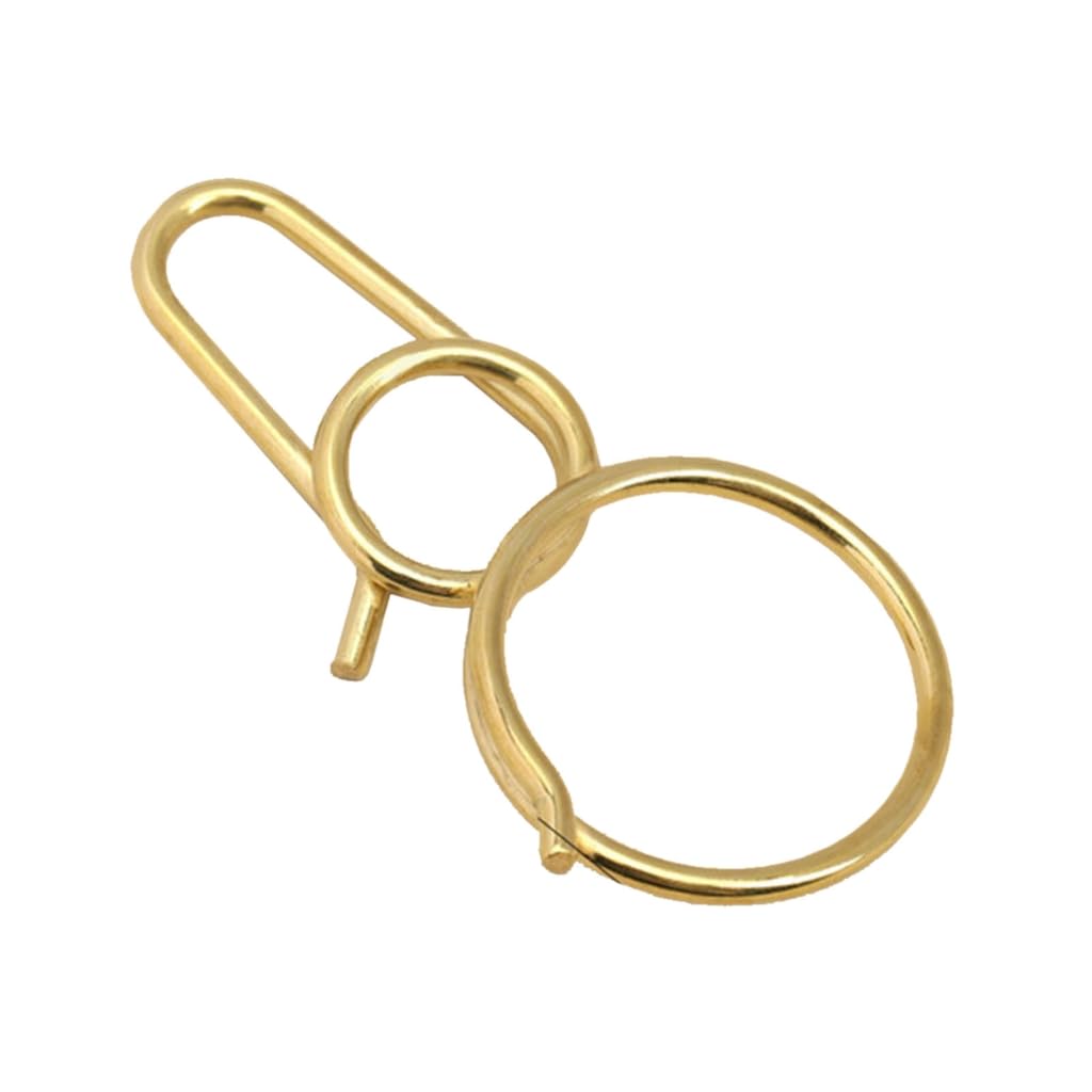6x Portachiavi con chiusura a vite in ottone dorato Portachiavi