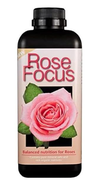 GT - Focus Range - House Plant, Rose, Geranium, Camellia & African Violet (Rose Focus - 300ml)