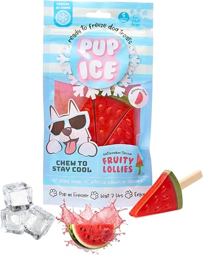 Pup Ice Sucette Glacée Pastèque pour Chien et Chiot – Friandise à Congeler – Snack Rafraîchissant à Mâcher – Ne Fond Pas et Ne Coule Pas – Idéal Été et Fortes Chaleurs– sans Sucres Ajoutés – 90 g