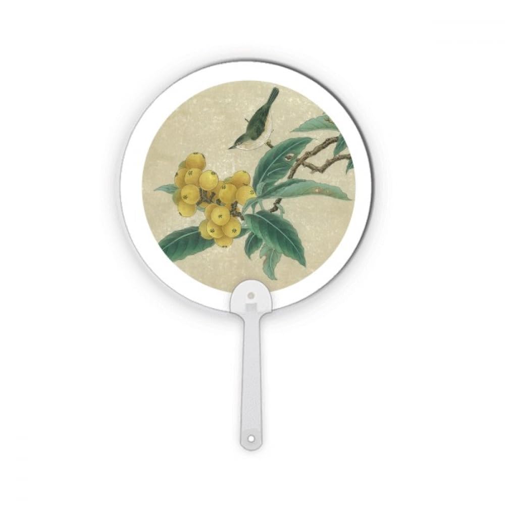 Éventail loquat broderie plume peinture chinoise, le cadeau artisanal idéal