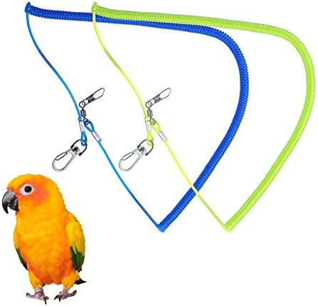 bird leash amazon